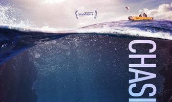 В поисках кораллов