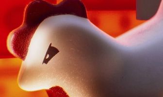 Мастер: Лего Ниндзяго