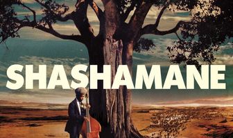 Shashamane