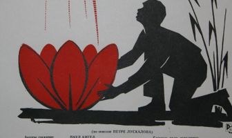 Красная кувшинка