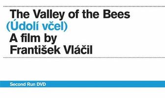 Долина пчел