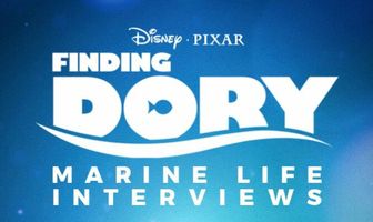 В поисках Дори: Интервью о морской жизни
