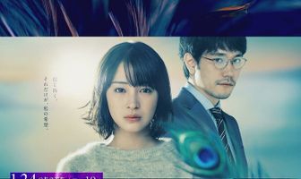 Кто видел танец павлина в джунглях?