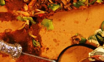 Deliverance: By the Slice