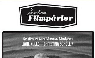 Дорогой Йон