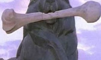 Исчезающий лев