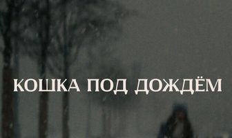 Кошка под дождём