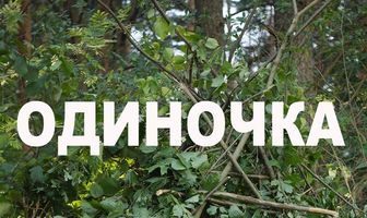 Одиночка