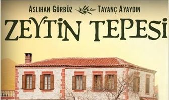 Ветка маслин