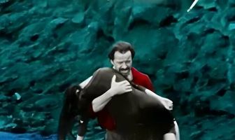 Темнофиолетовый