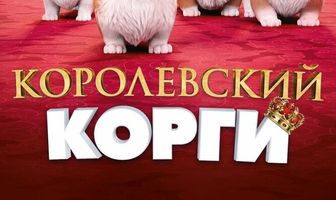 Королевский корги