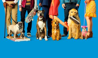 Собачья жара