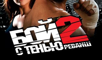 Бой с тенью 2: Реванш