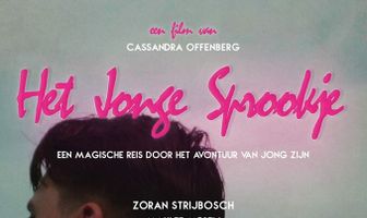 Het jonge sprookje