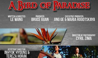 A Bird of Paradise