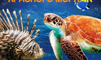Тайны Красного моря