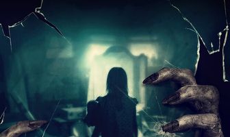 Зеркала: Инкарнация
