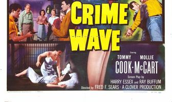 Teen-Age Crime Wave