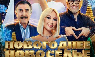 Новогоднее новоселье