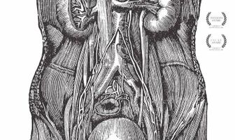 Любовь 1: Собака