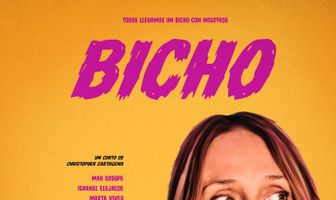 Bicho