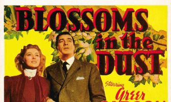 Цветы в пыли