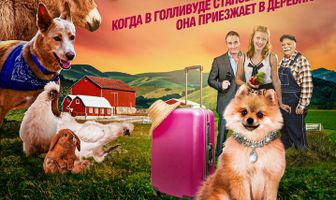 ЛапПарацци