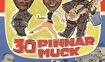 30 pinnar muck