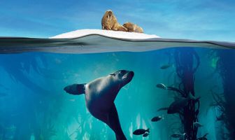 Голубая планета 2