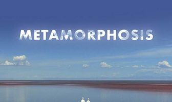 Metamorphosis