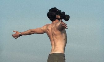 Die Farbe des Chamäleons