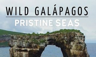 Wild Galapagos: Pristine Seas