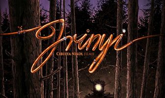 Irinyi