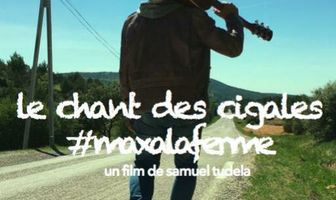 Пение цикад