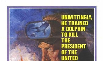 День дельфина