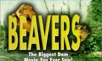 Beavers