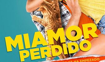 Miamor perdido