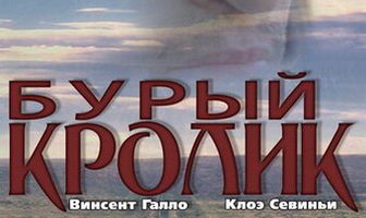 Бурый кролик