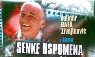 Тени воспоминаний