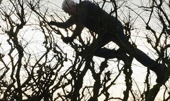 Leaning Into the Wind: Andy Goldsworthy