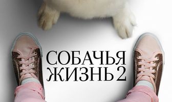 Собачья жизнь 2