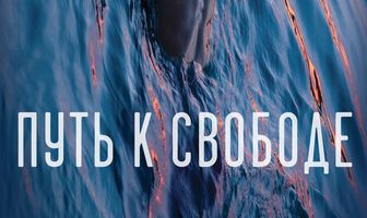 Путь к свободе