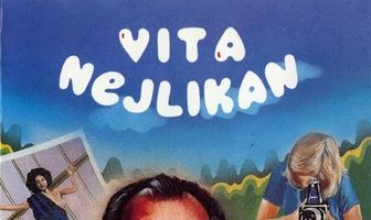 Белая гвоздика