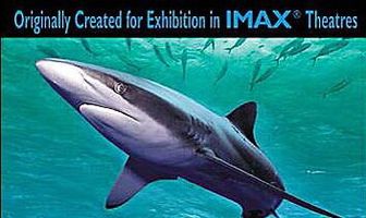 Остров акул