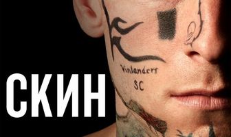 Скин