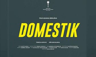 Домашний режим