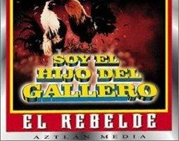 Soy el hijo del gallero