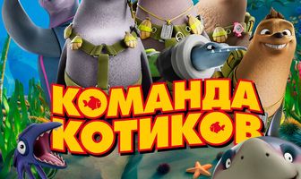 Команда котиков