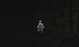 Глухая ночь