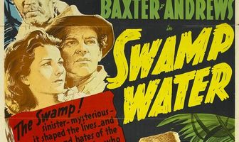 Болотная вода